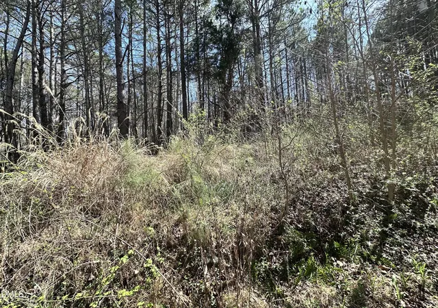 2nd image of 0 Pleasant Hill Church Rd, Siler City, NC 27344 | MLS# 10154236