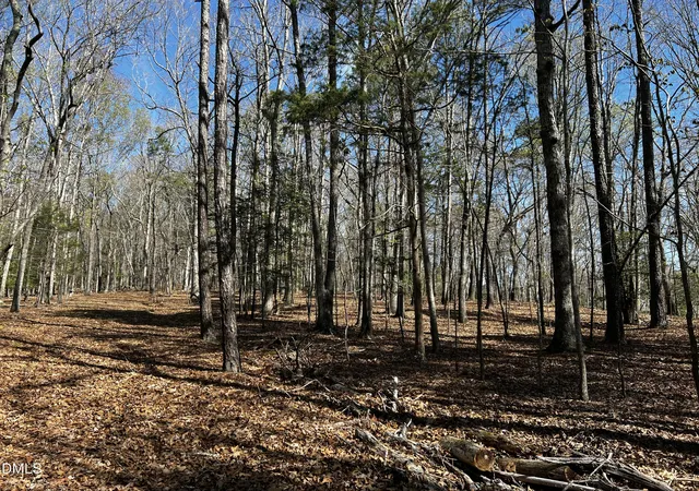 3rd image of 294 The Glades, Chapel Hill, NC 27517 | MLS# 10157594