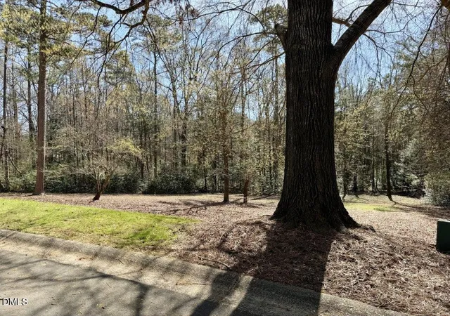 Photo 3 of Land for sale at 223 Millingport Ln, New London, NC 28127 | MLS# 10154300 | Listing updated on 2026-07-18