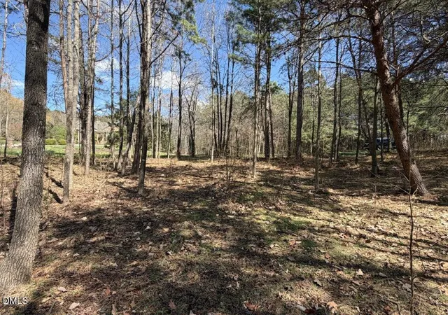 Photo 5 of Unimproved Land at 129 Mallard Dr, New London, NC 28127 | MLS# 10154521 | | Sold on 2026-05-19