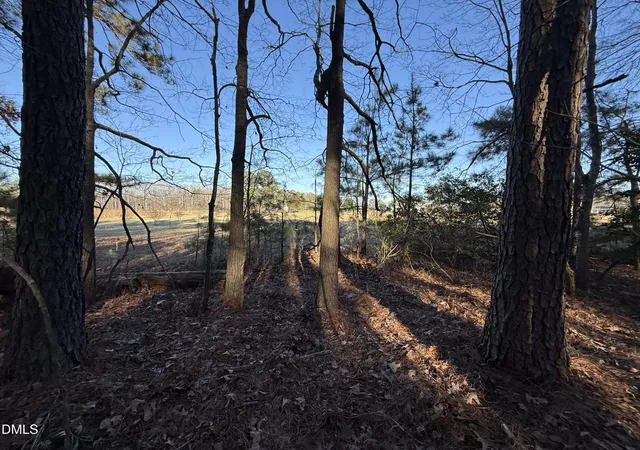 Photo 9 of Land for sale at 02 Massey Rd, Zebulon, NC 27597 | MLS# 10154542 | Listing updated on 2026-07-20