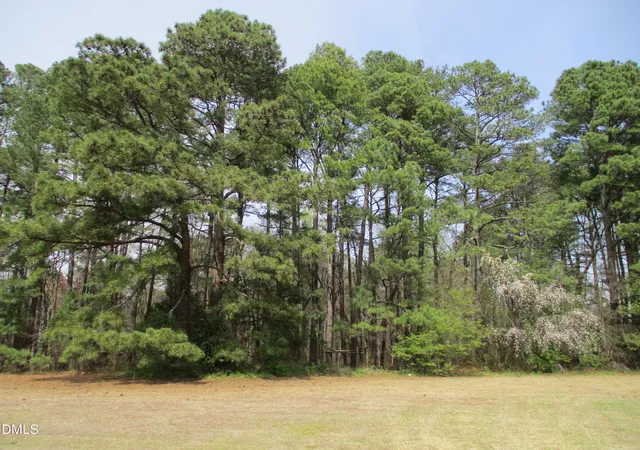 Photo 3 of Land for sale at 0 Jones Sausage Rd, Garner, NC 27529 | MLS# 10154555 | Listing updated on 2026-09-14