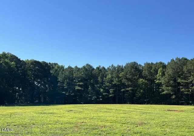 23rd image of 153 Big Pine Rd, Clayton, NC 27520 | MLS# 10176483