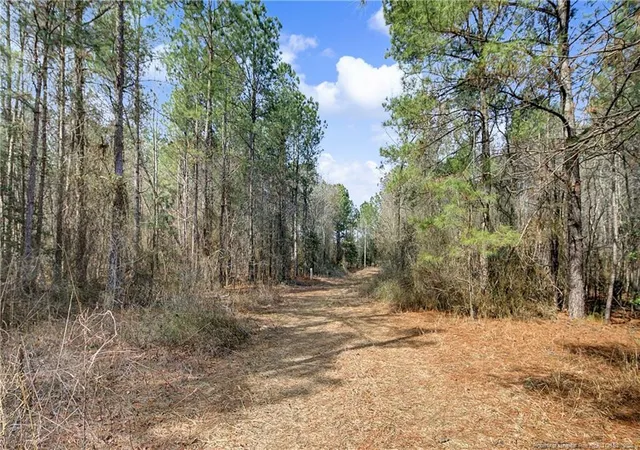 Photo 3 of Sale Pending at 632 Creeksville Church Rd, Spring Lake, NC 28390 | MLS# 758150 | Listing updated on 2026-07-18