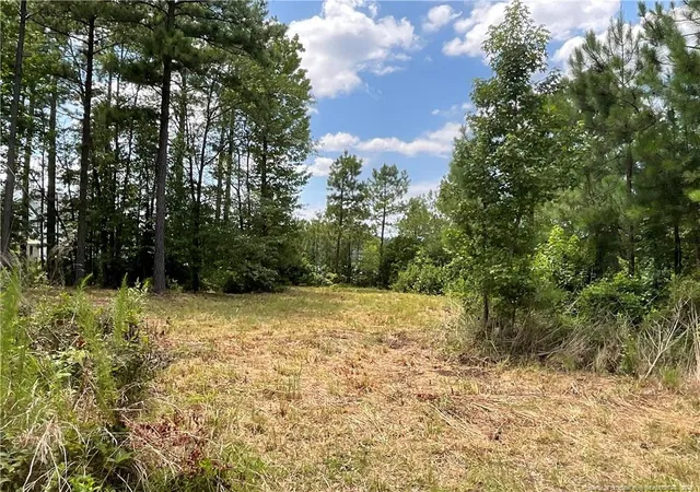 Photo 4 of Land for sale at 226 Clearview Ct, Sanford, NC 27332 | MLS# 759398 | Listing updated on 2026-07-18