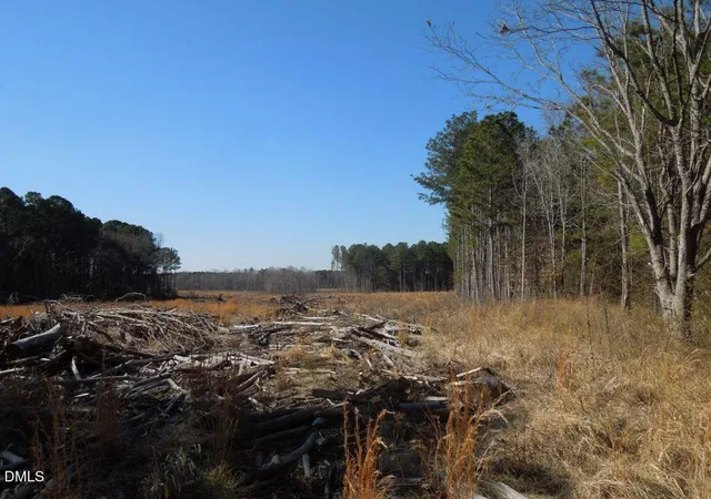 Photo 3 of Unimproved Land at 1059 Ridgeway Warrenton Rd, Norlina, NC 27563 | MLS# 10155320 | | Sold on 2026-05-21