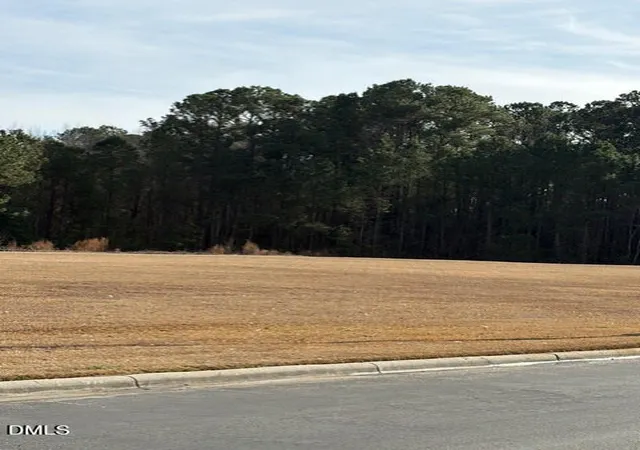 3rd image of 660 E Jackson Blvd, Erwin, NC 28339 | MLS# 10155543