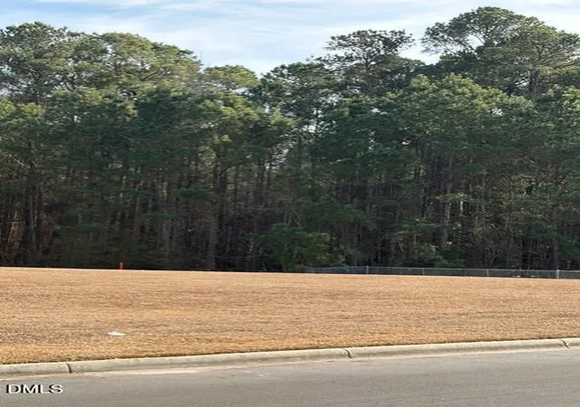 4th image of 660 E Jackson Blvd, Erwin, NC 28339 | MLS# 10155543