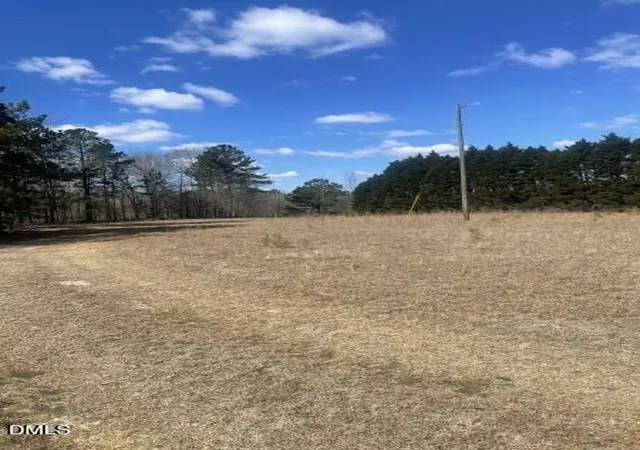 Photo 3 of Unimproved Land at 0 N Horace Walters Rd, Raeford, NC 28376 | MLS# 10155914 | | Sold on 2026-05-11
