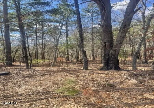 Photo 5 of Unimproved Land at 0 N Horace Walters Rd, Raeford, NC 28376 | MLS# 10155914 | | Sold on 2026-05-11