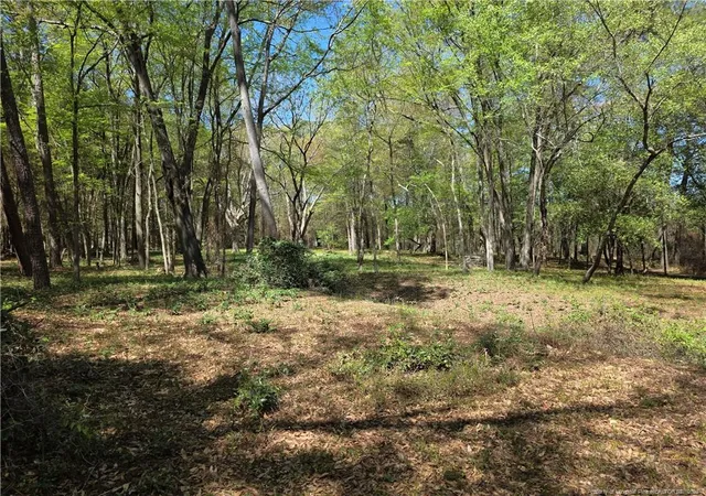 4th image of 5354 Muscat Rd, Hope Mills, NC 28348 | MLS# 759379