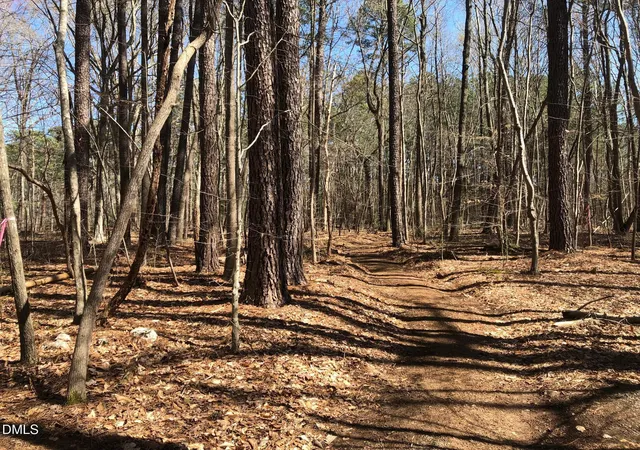 Photo 5 of Land for sale at 910 Nc 902, Pittsboro, NC 27312 | MLS# 10157132 | Listing updated on 2026-07-18