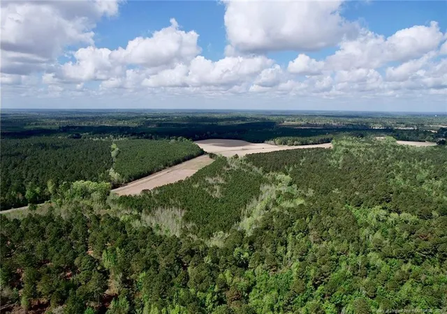 Photo 4 of Land for sale at 3331 Bogie Is Rd, Fayetteville, NC 28312 | MLS# 760134 | Listing updated on 2026-09-08