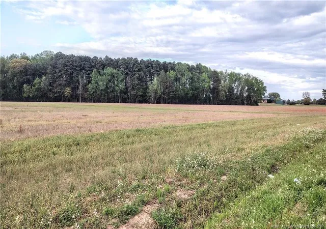 Photo 3 of Land for sale at 0 Tramway Rd / Hwy 78, Sanford, NC 27330 | MLS# 760180 | Listing updated on 2026-07-18