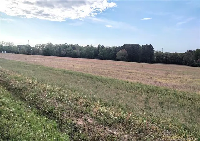 Photo 3 of Land for sale at 0 Tramway Rd / Hwy 78, Sanford, NC 27330 | MLS# 760180 | Listing updated on 2026-07-18