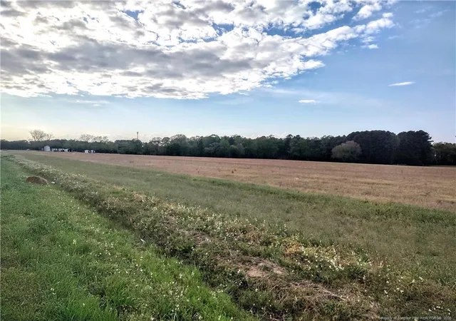 Photo 4 of Land for sale at 0 Tramway Rd / Hwy 78, Sanford, NC 27330 | MLS# 760180 | Listing updated on 2026-07-18