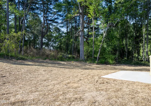 26th image of 201 W Hamer St, Coats, NC 27521 | MLS# 10158666