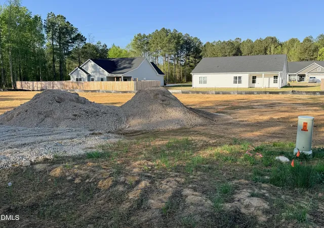 Homes for sale in Bunnlevel, NC | 48 Loganberry Ave, Bunnlevel, NC 28323 | MLS# 10159647