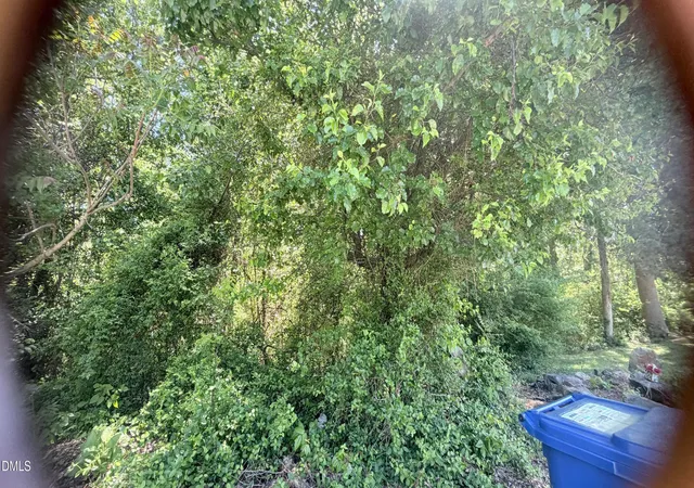 1st image of 1707 Wind Sound Wy, Siler City, NC 27344 | MLS# 10159392