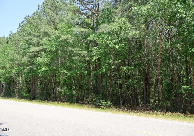32nd image of 6901 Us Hwy 701 S, Four Oaks, NC 27524 | MLS# 10159497