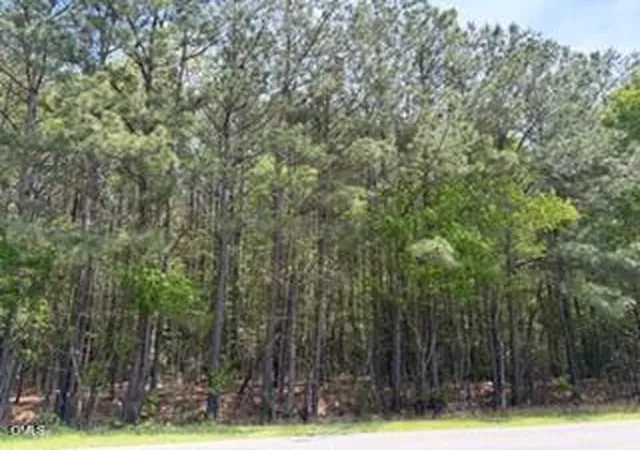 4th image of 6901 Us Hwy 701 S, Four Oaks, NC 27524 | MLS# 10159497