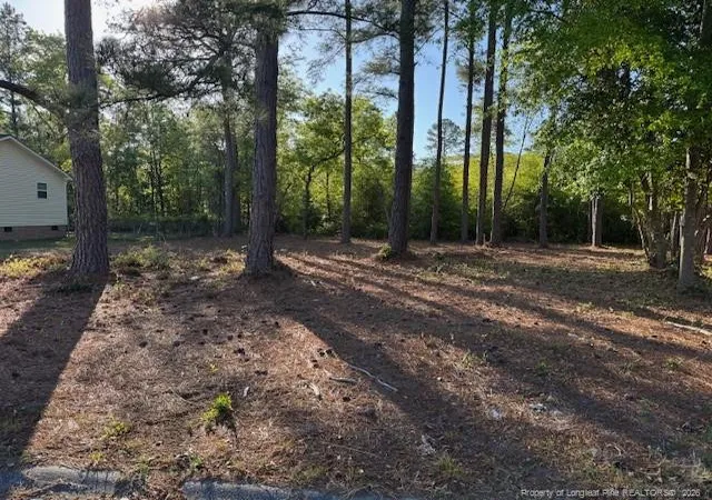 3rd image of 213 Waddell Dr, Fayetteville, NC 28301 | MLS# 760616