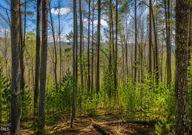 Photo 3 of Land for sale at Lt 74 Sutters Ridge Rd, Mulberry, NC 28659 | MLS# 10161065 | Listing updated on 2026-09-16