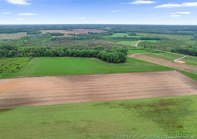 Photo 4 of Land for sale at Lot 8 Buie Philadelphus Rd, Red Springs, NC 28377 | MLS# 760848 | Listing updated on 2026-08-18