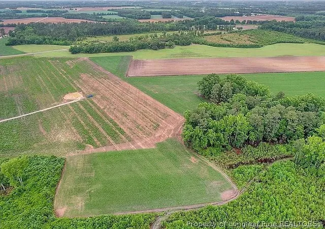 Photo 5 of Land for sale at Lot 8 Buie Philadelphus Rd, Red Springs, NC 28377 | MLS# 760848 | Listing updated on 2026-08-18