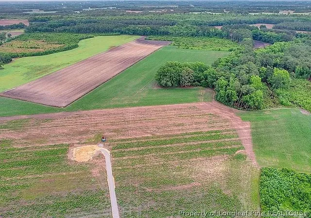 Photo 5 of Land for sale at Lot 9 Buie Philadelphus Rd, Red Springs, NC 28377 | MLS# 760855 | Listing updated on 2026-08-17