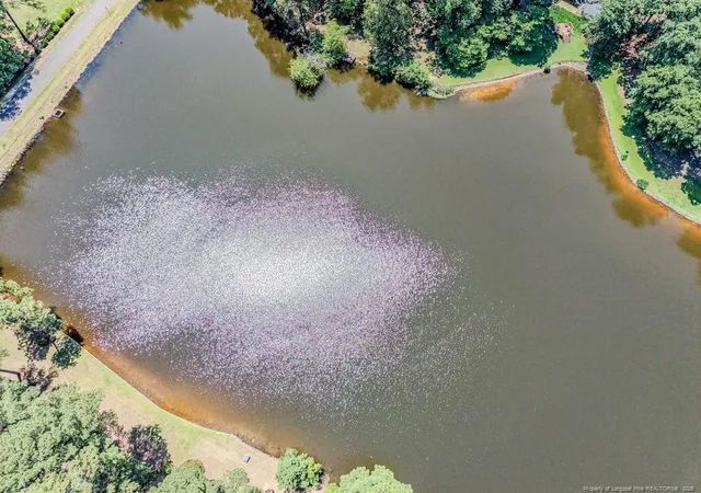 49th image of 1802 Holiday Rd, Sanford, NC 27330 | MLS# 760917