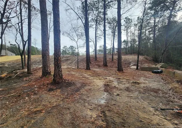 12th image of 504 Porter Rd, Hope Mills, NC 28348 | MLS# 760973