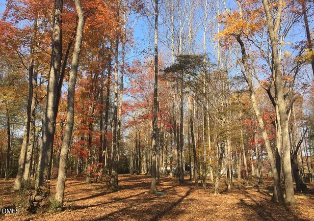 46th image of 4583 Lambeth Mill Rd, Bennett, NC 27208 | MLS# 10162940