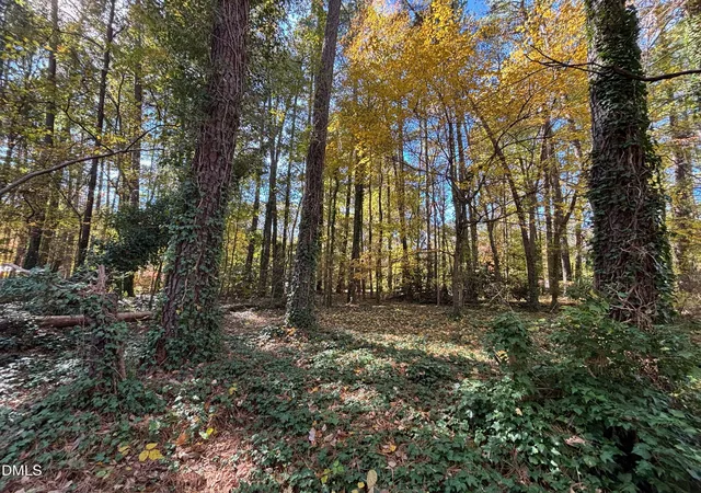 Homes for sale in Durham, NC | 3216 Duke Homestead Rd, Durham, NC 27705 | MLS# 10161391
