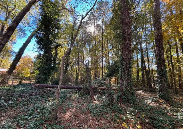 Homes for sale in Durham, NC | 3216 Duke Homestead Rd, Durham, NC 27705 | MLS# 10161391