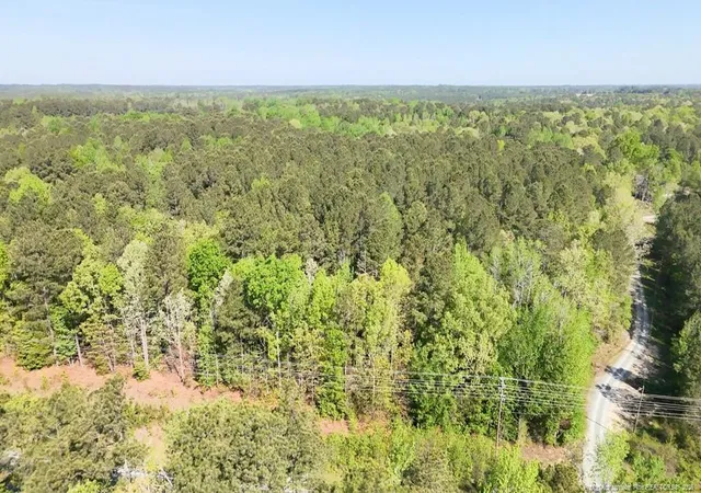 Photo 3 of Sale Pending at 15688 Nc 27 Hwy W, Sanford, NC 27332 | MLS# 761065 | Listing updated on 2026-09-11