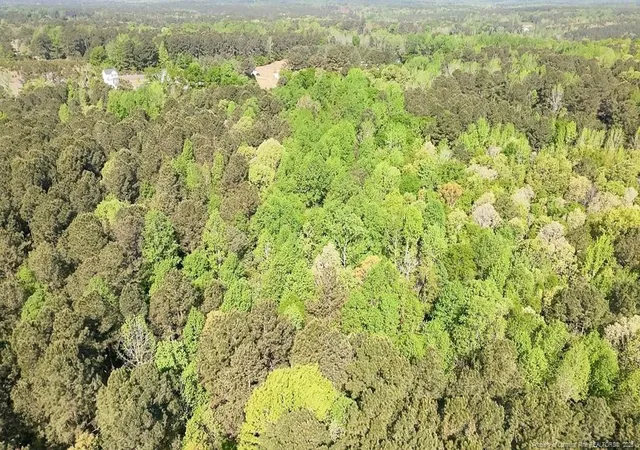 3rd image of Tbd (505 Acres) Nc 27 Hwy W, Sanford, NC 27332 | MLS# 761071