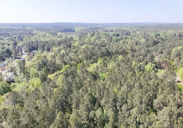 4th image of Tbd (505 Acres) Nc 27 Hwy W, Sanford, NC 27332 | MLS# 761071