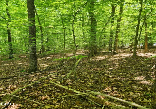 2nd image of Lot 2 Lylas Lane, Efland, NC 27243 | MLS# 10162083