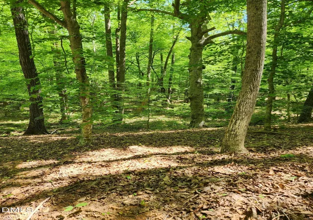 4th image of Lot 2 Lylas Lane, Efland, NC 27243 | MLS# 10162083