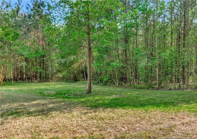 Homes for sale in St. Pauls, NC | 1234 Shaw Rd, St. Pauls, NC 28384 | MLS# 761206