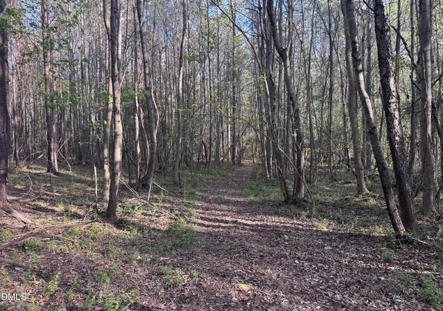29th image of 00 S Old Carriage Rd, Rocky Mount, NC 27803 | MLS# 10161865