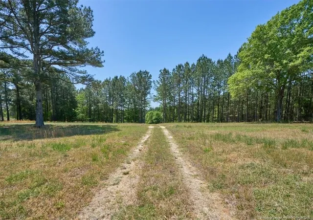 Photo 3 of Land at 510 Carys Ln, West End, NC 27376 | MLS# 761413 |  | Sold on 2026-05-21