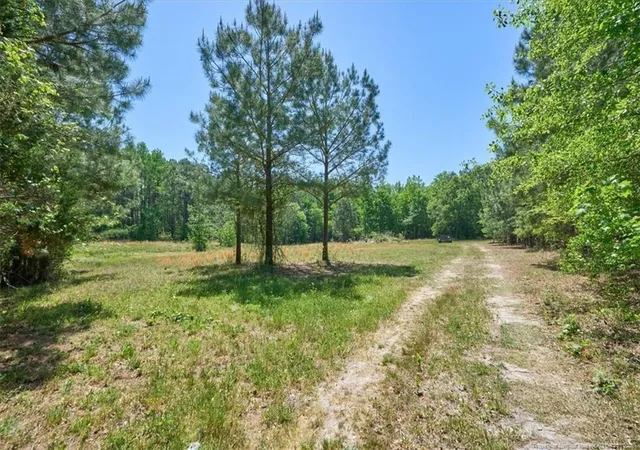 Photo 4 of Land at 510 Carys Ln, West End, NC 27376 | MLS# 761413 |  | Sold on 2026-05-21