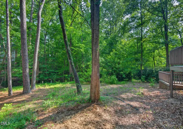 48th image of 19 Copper Hill Ct, Durham, NC 27713 | MLS# 10183385