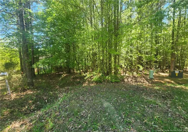 Photo 2 of Land at N Plantation Pines, Williamsboro, NC 27537 | MLS# 761176 | | Sold on 2026-06-17