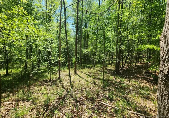 Photo 3 of Land at N Plantation Pines, Williamsboro, NC 27537 | MLS# 761176 | | Sold on 2026-06-17