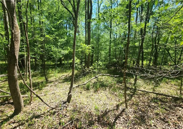 Photo 4 of Land at N Plantation Pines, Williamsboro, NC 27537 | MLS# 761176 | | Sold on 2026-06-17