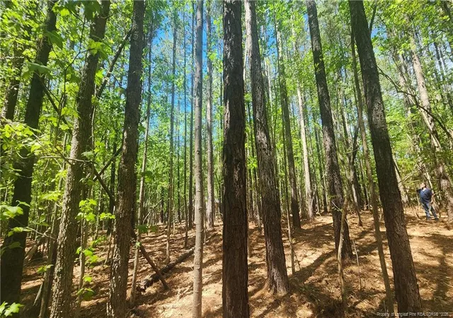 Photo 5 of Land at N Plantation Pines, Williamsboro, NC 27537 | MLS# 761176 | | Sold on 2026-06-17