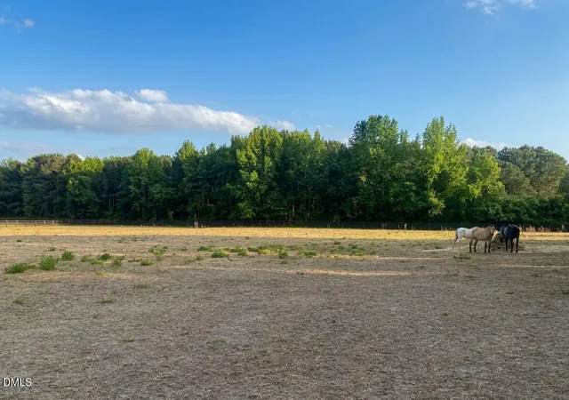 5th image of 52 Fellowship Church Rd, Princeton, NC 27569 | MLS# 10163542